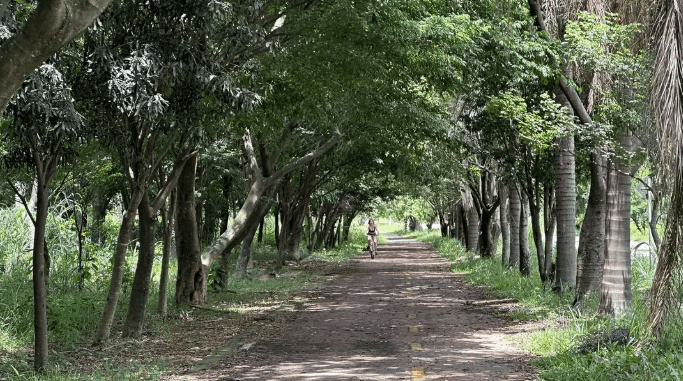 Percurso arborizado da Cats Run no Parque Ecológico do Tietê